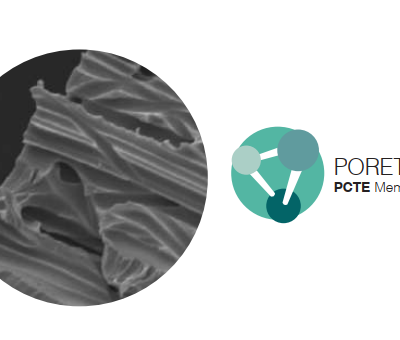 Polycarbonate Khắc vết, Màng lọc PCTE, GVS PCTE, Track Etched Polycarbonate