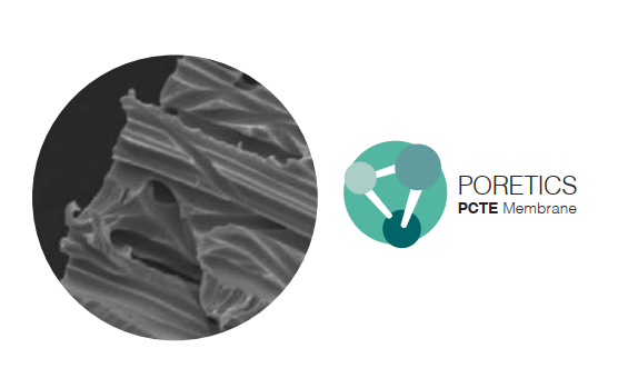 Polycarbonate Khắc vết, Màng lọc PCTE, GVS PCTE, Track Etched Polycarbonate