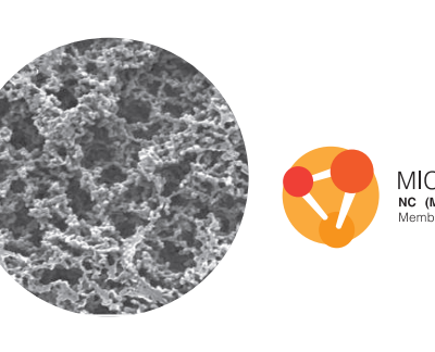 Mixed Cellulose Membrane, MCE GVS, Màng lọc MCE, Màng lọc GVS, Asbestos monitoring