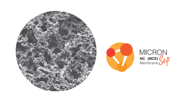 Mixed Cellulose Membrane, MCE GVS, Màng lọc MCE, Màng lọc GVS, Asbestos monitoring